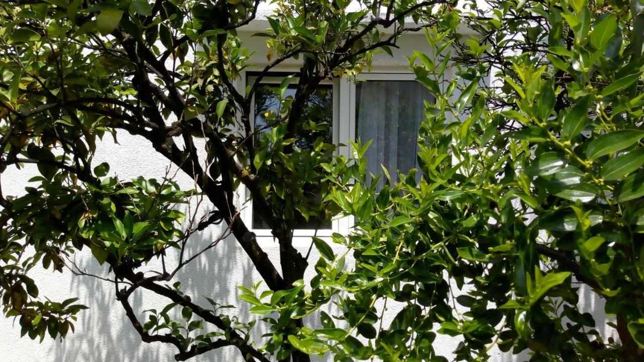 Tea Apartment Kotor Exterior photo